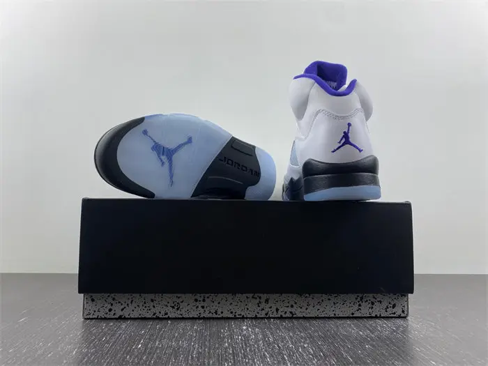 Jordan 5 Retro Dark Concord 