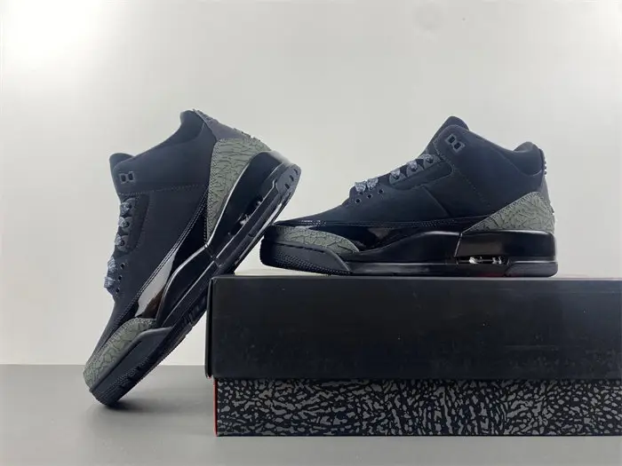 Air Jordan 3  black cat 