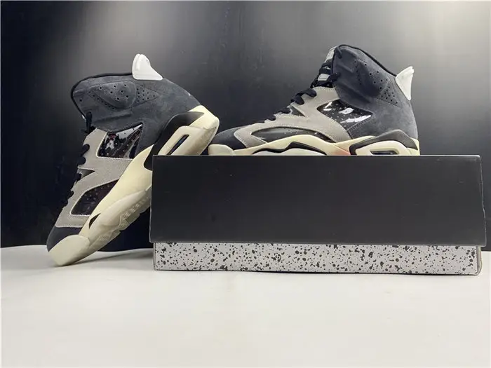 Jordan 6 Retro Tech Chrome 