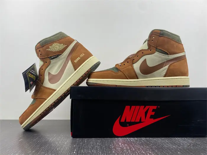 AJ1 Gore-Tex Jordan 1 High 