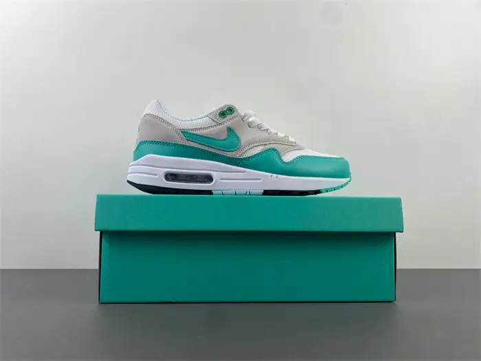 Nike Air Max 1 