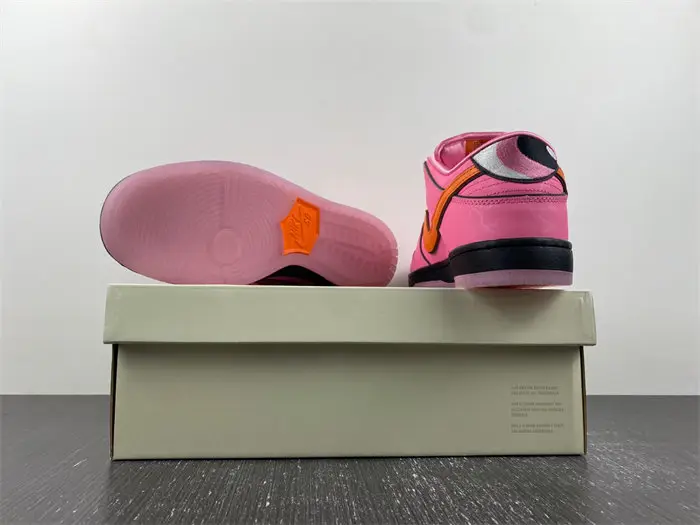 Feitian policewoman x Nike SB dunk 