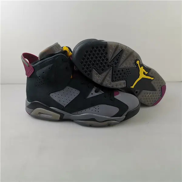 Air Jordan 6 