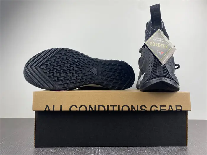 ACG Air Terra Antarktik 
