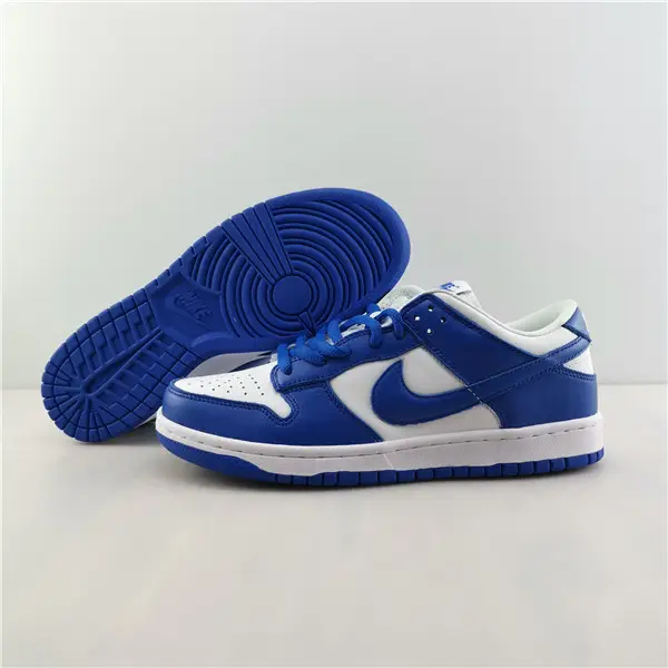 NIKE DUNK LOW RETRO 