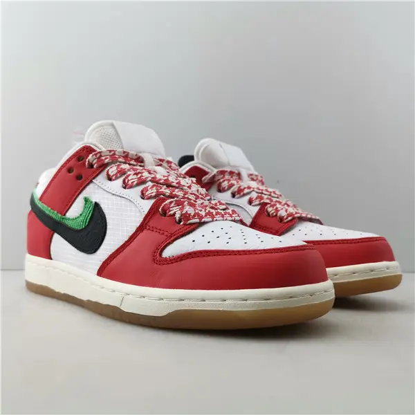 FRAME SKATE X NIKE DUNK LOW 