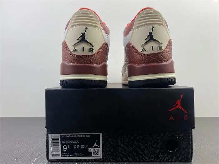 Jordan 3 Retro SE Dunk on Mars 