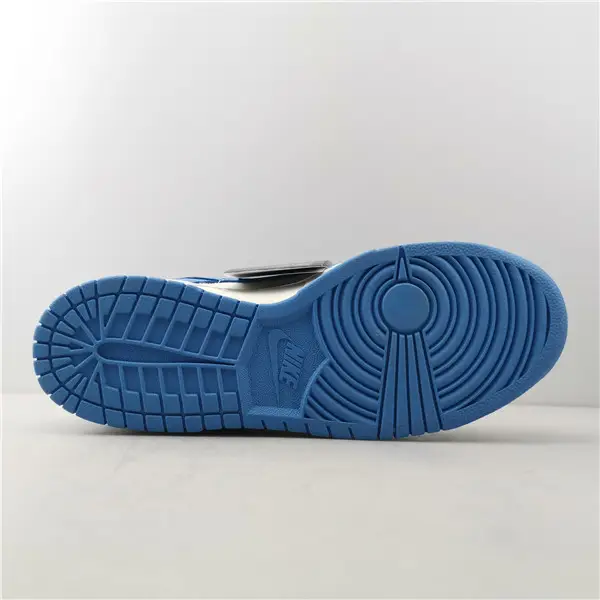 Nike Dunk Low Coast (W) 