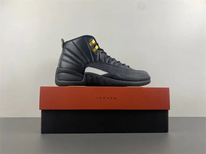 Air Jordan 12 