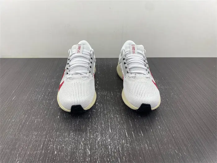 Nike Pegasus 40 Premium 