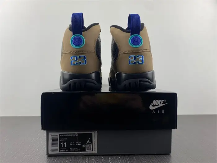 Air Jordan 9 