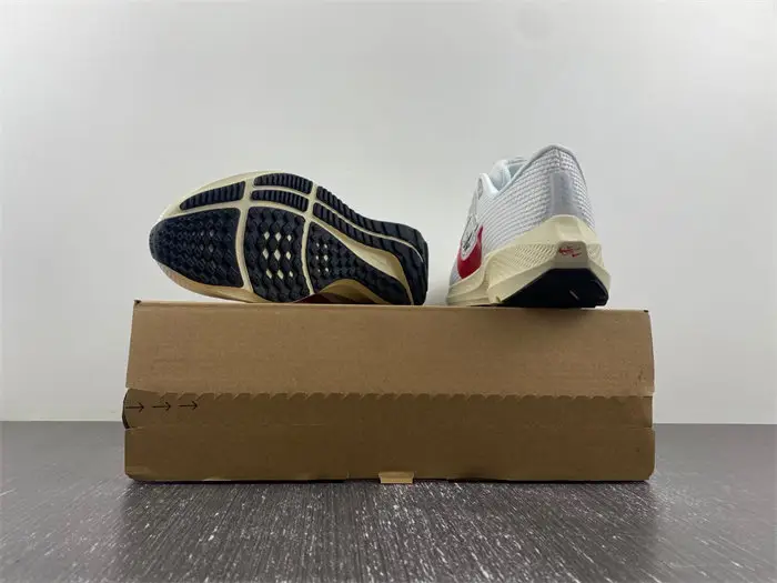 Nike Pegasus 40 Premium 