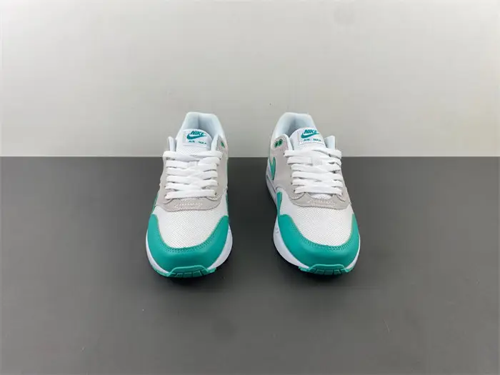 Nike Air Max 1 