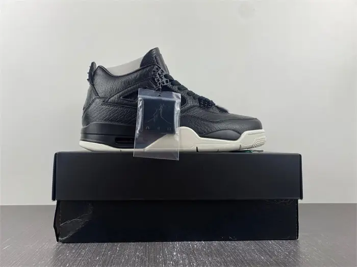 Air Air Jordan 4 Premium 