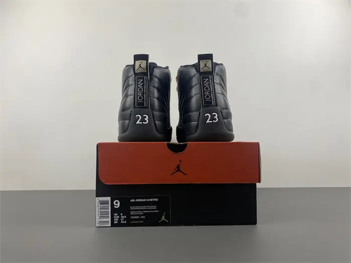 Air Jordan 12 