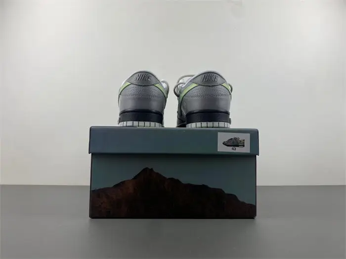 Nike Dunk LOW   DV0831-101 