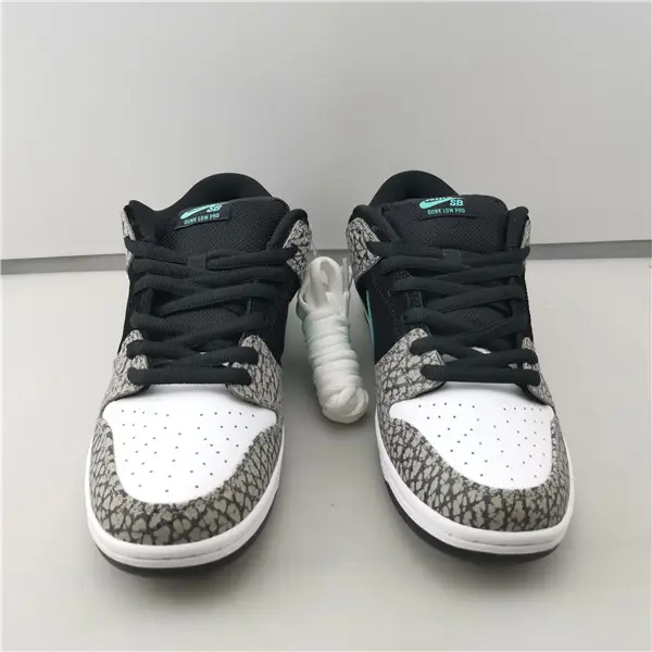 NIKE SB DUNK LOW 