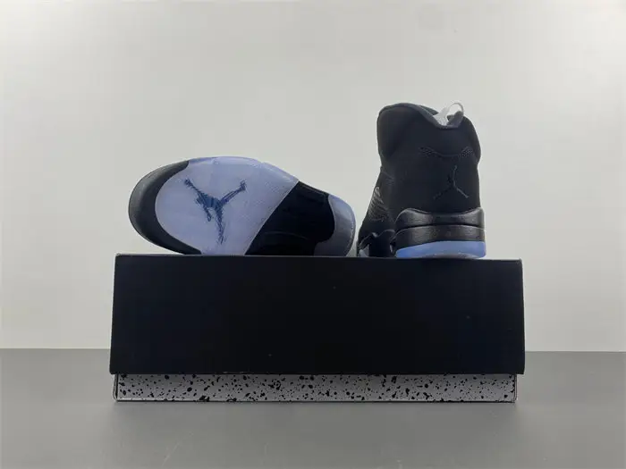Air Jordan 5 