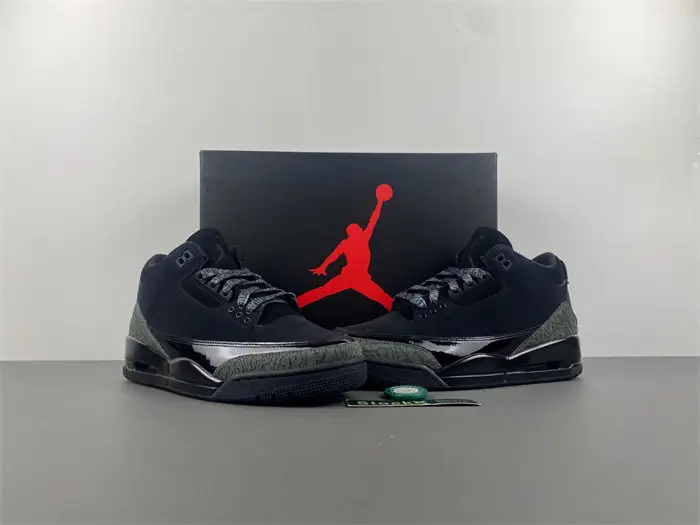 Air Jordan 3  black cat  BDEEF792