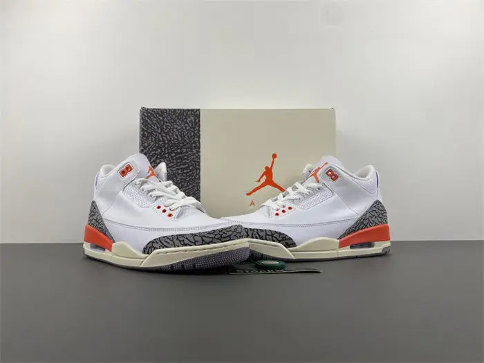 Air Jordan 3 WMNS 