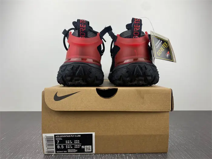 ACG Mountain Fly Low 