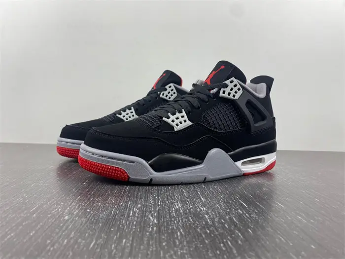 Nike SB x r Jordan 4 