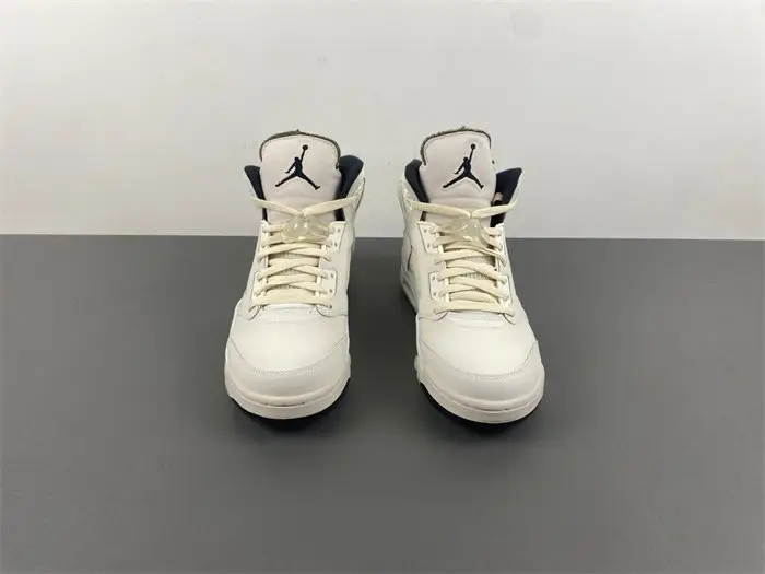 Jordan 5 Retro SE 
