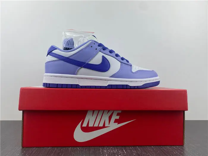 Nike Dunk Low Blueberry 