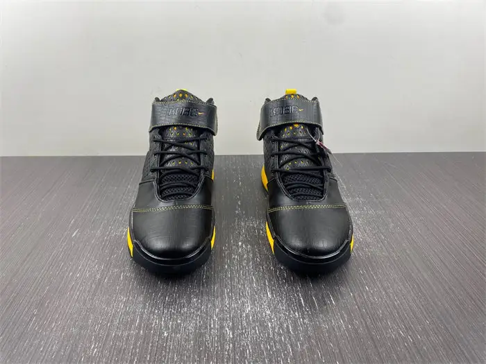 Nike Zoom Kobe 2 Carpe Diem 316022 