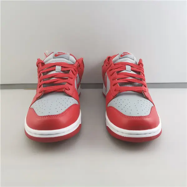 Nike Dunk Low SB Red Grey 