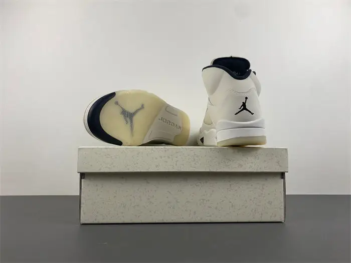 Jordan 5 Retro SE 