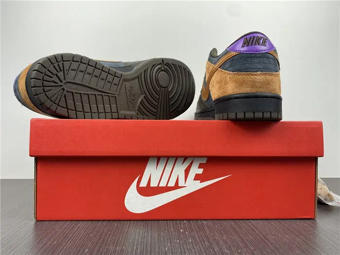Nike Dunk Low 