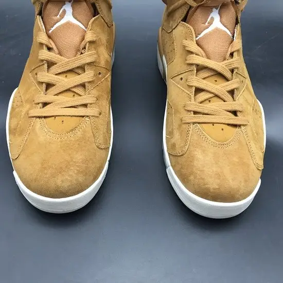 Air Jordan 6 'Golden 