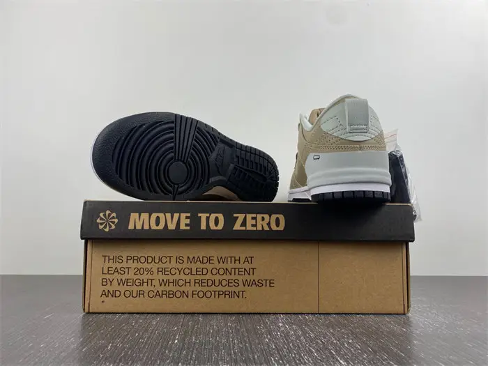 Nike Dunk Disrupt 2 