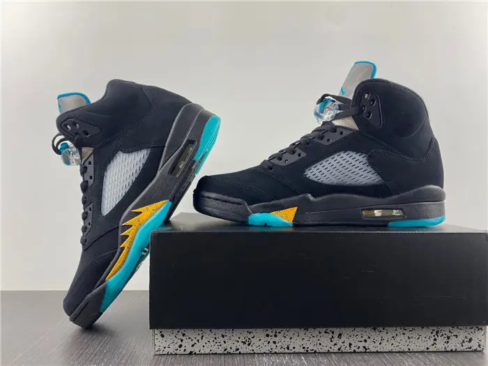 Air Jordan 5 