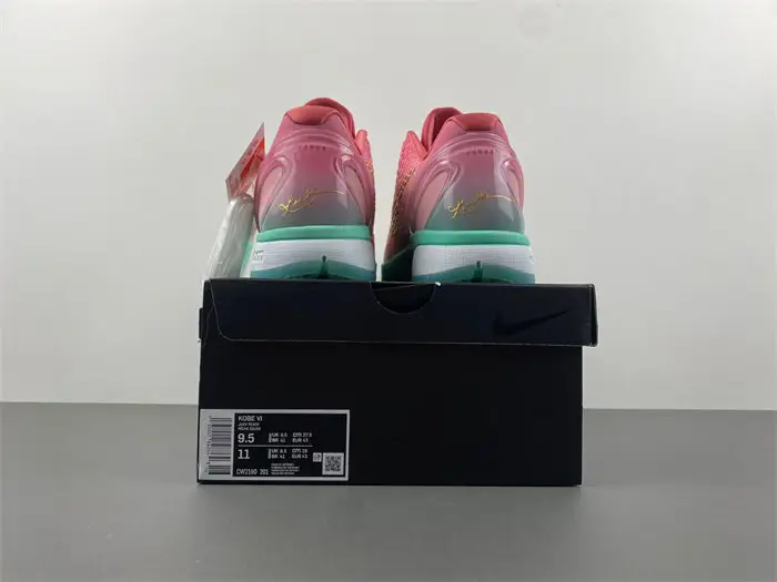 Zoom Kobe 6 ZK6 