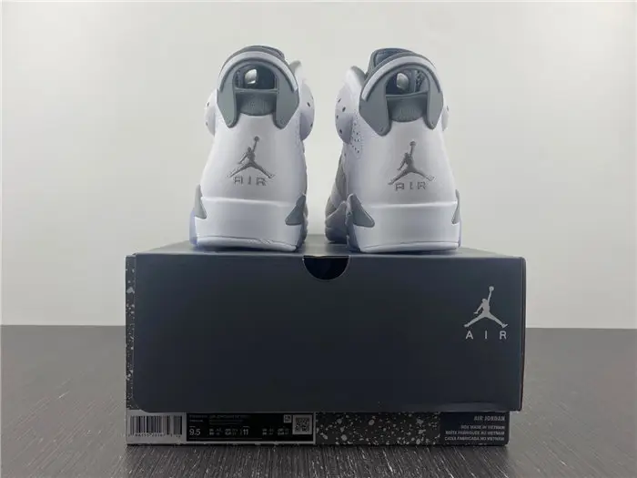 Air Jordan 6 