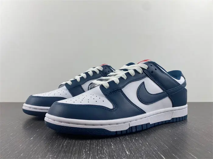 Nike Dunk Low Valerian Blue 