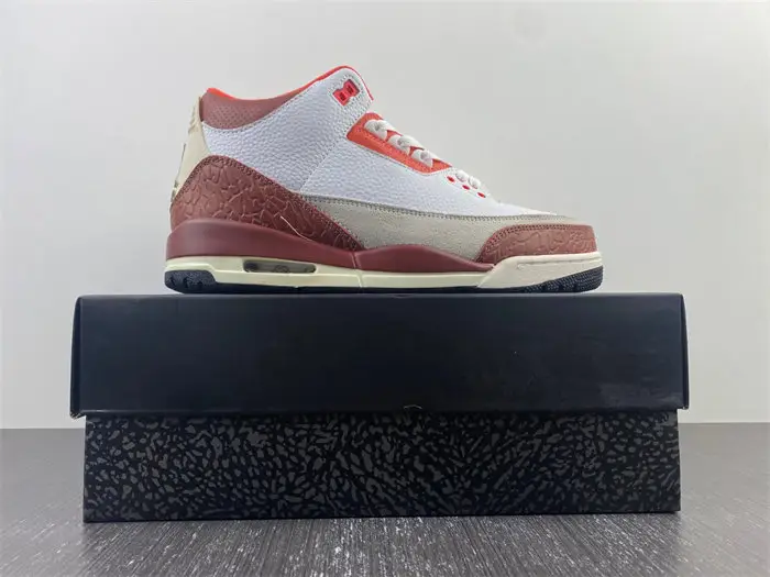 Jordan 3 Retro SE Dunk on Mars 
