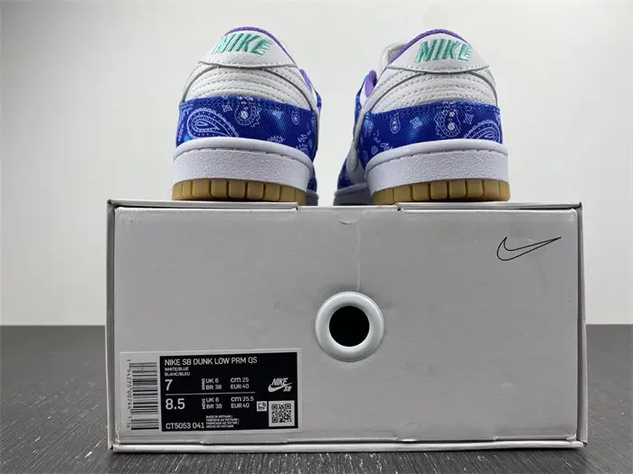 Nike SB Dunk Low Retro SP 