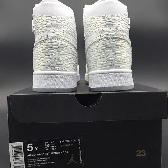 UA Air Jordan 1 Retro High GS 'Frost 