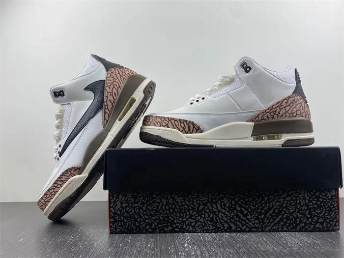 Jordan 3 Retro 