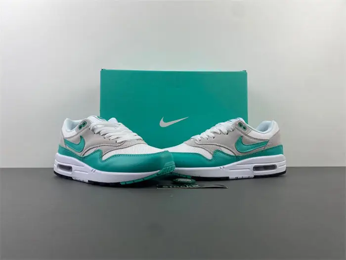 Nike Air Max 1 