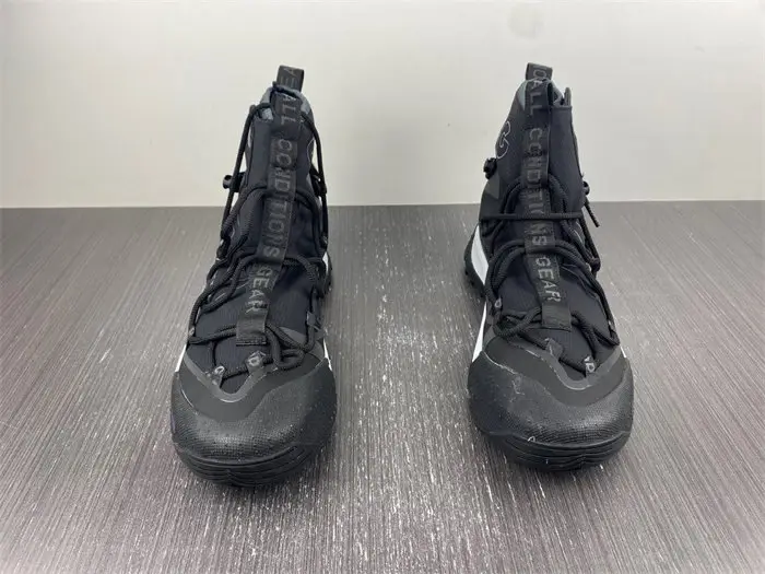 ACG Air Terra Antarktik 