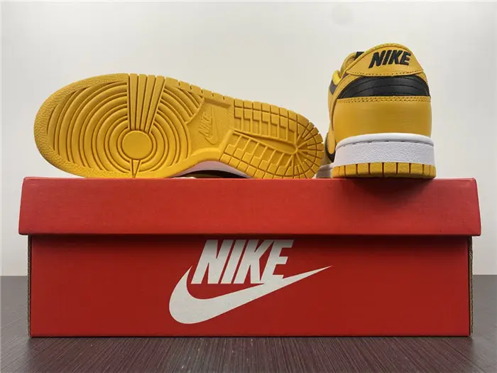 The Nike Dunk Low Takes on a Familiar 