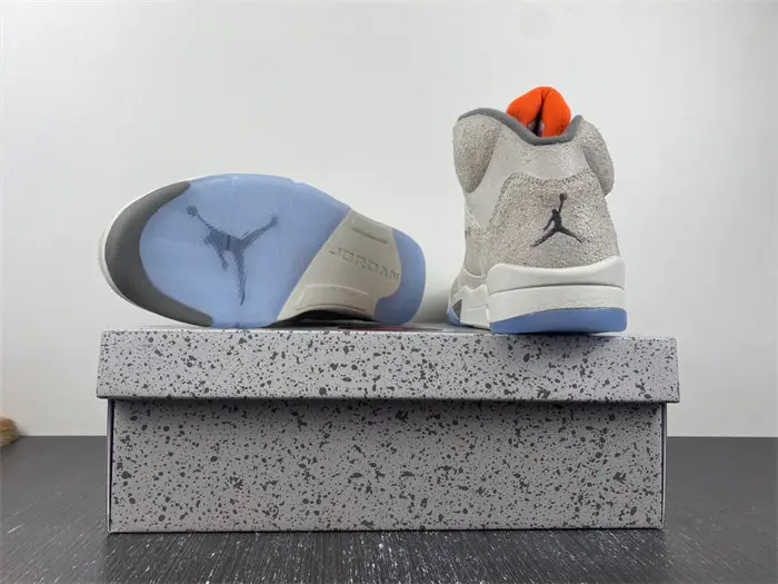 Air Jordan 5 SE 