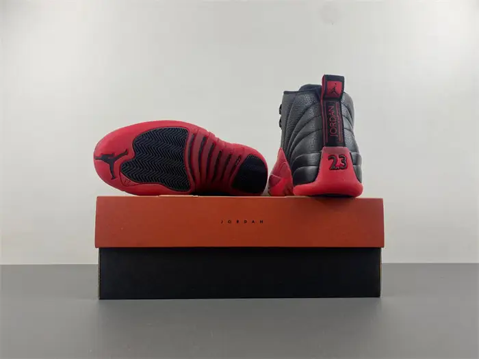 Air Jordan AJ12 