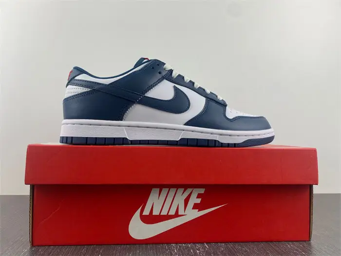 Nike Dunk Low Valerian Blue 