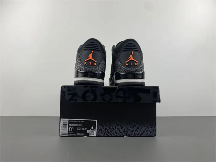 Air Jordan 3 