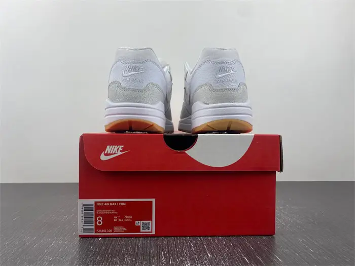 Nike Air Max 1 